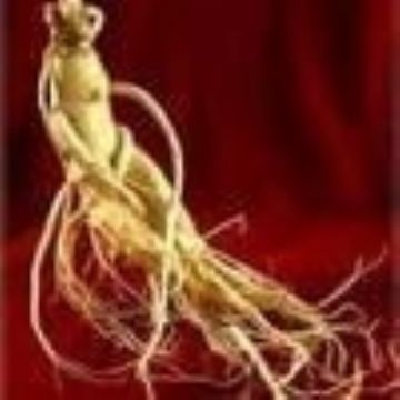 Ginseng Extract